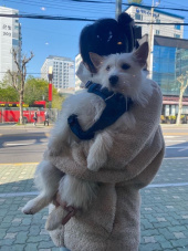 러프웨어(RUFFWEAR) Front Range Harness 하네스 (2021SS) 후기