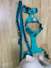 러프웨어(RUFFWEAR) Crag Leash 리드줄 후기