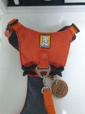 러프웨어(RUFFWEAR) Hi & Light Harness 하네스 후기