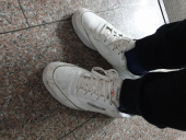 리복(REEBOK) 클럽 C 85 - 화이트 / FX1390 후기