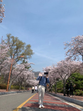 gallery_60913069db211.jpg