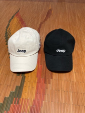 지프(JEEP) Small Logo Cap (GL5GCU192BB) 후기