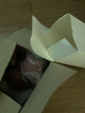 게스언더웨어(GUESS UNDERWEAR) 아웃밴드 인디핑크 솔리드 브라 팬티 세트 후기