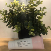 내추럴더마프로젝트(NATURAL DERMA PROJECT) 비타민 B9 톤업 미백 크림 후기