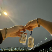 본챔스(BORN CHAMPS) Daisy AirPods PRO CASE CETFMAC06BL 후기