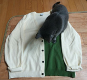 잇터(ITER) PREMIUM CLASSIC CARDIGAN_NAVY/BLUE 후기