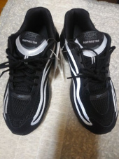 리복(REEBOK) RBK 프리미어 펌프 패리스 - 화이트:실버 / FX4074 후기