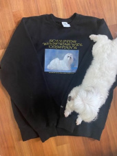 스컬프터(SCULPTOR) Puppy Talk Sweatshirt White Melange 후기