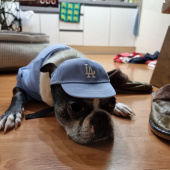 엠엘비(MLB) PET 빅로고 맨투맨 LA (VIOLET) 후기