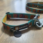 러프웨어(RUFFWEAR) Flat Out Collar™ 목줄 (2021SS) 후기