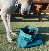 러프웨어(RUFFWEAR) Quencher 휴대용 식기 (2021SS) 후기