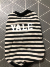 예일(YALE) STRIPE DOGGY SWEAT SHIRT NAVY 후기