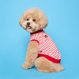 플로트(FLOT) 플로트X테디아일랜드 민소매티셔츠 강아지옷 핑크