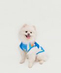 누팍(NU PARCC) 블루 프린트 펫 티셔츠 (강아지옷)