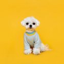 플로트(FLOT) 레인보우코지 티셔츠 스카이민트 강아지옷