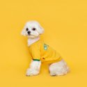 플로트(FLOT) 베럴라이프 맨투맨 옐로우 강아지옷