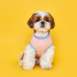 플로트(FLOT) 릴렉스보더 민소매티셔츠 스카이핑크 강아지옷