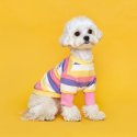 플로트(FLOT) 스탠다드유니크 맨투맨 레몬핑크 강아지옷