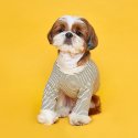 플로트(FLOT) 릴렉스보더 티셔츠 아이보리 강아지옷