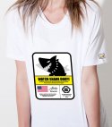 돌돌(DOLDOL) SHARK DOG_tshirts-164  샤크독 서핑 하와이 여름 캐릭터 그래픽 티셔츠