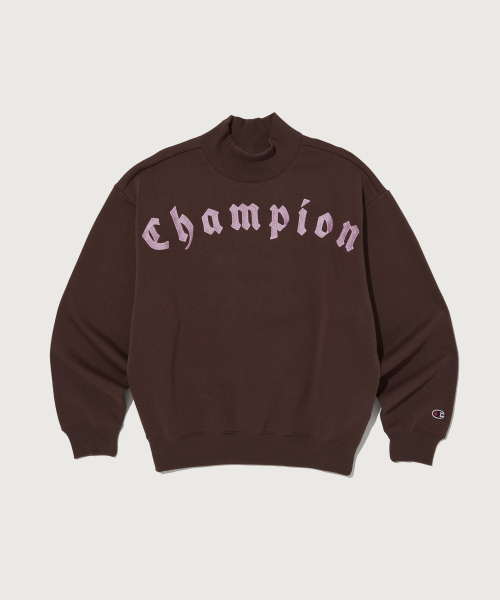 CHAMPION YEOSEONG DADAMI JASU HAINEK SEUWETEUSHIRT NORMAL BROWN