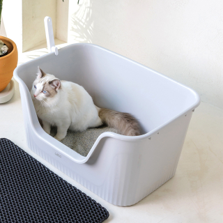 레토(LETO) 특대형 고양이 화장실 박스형