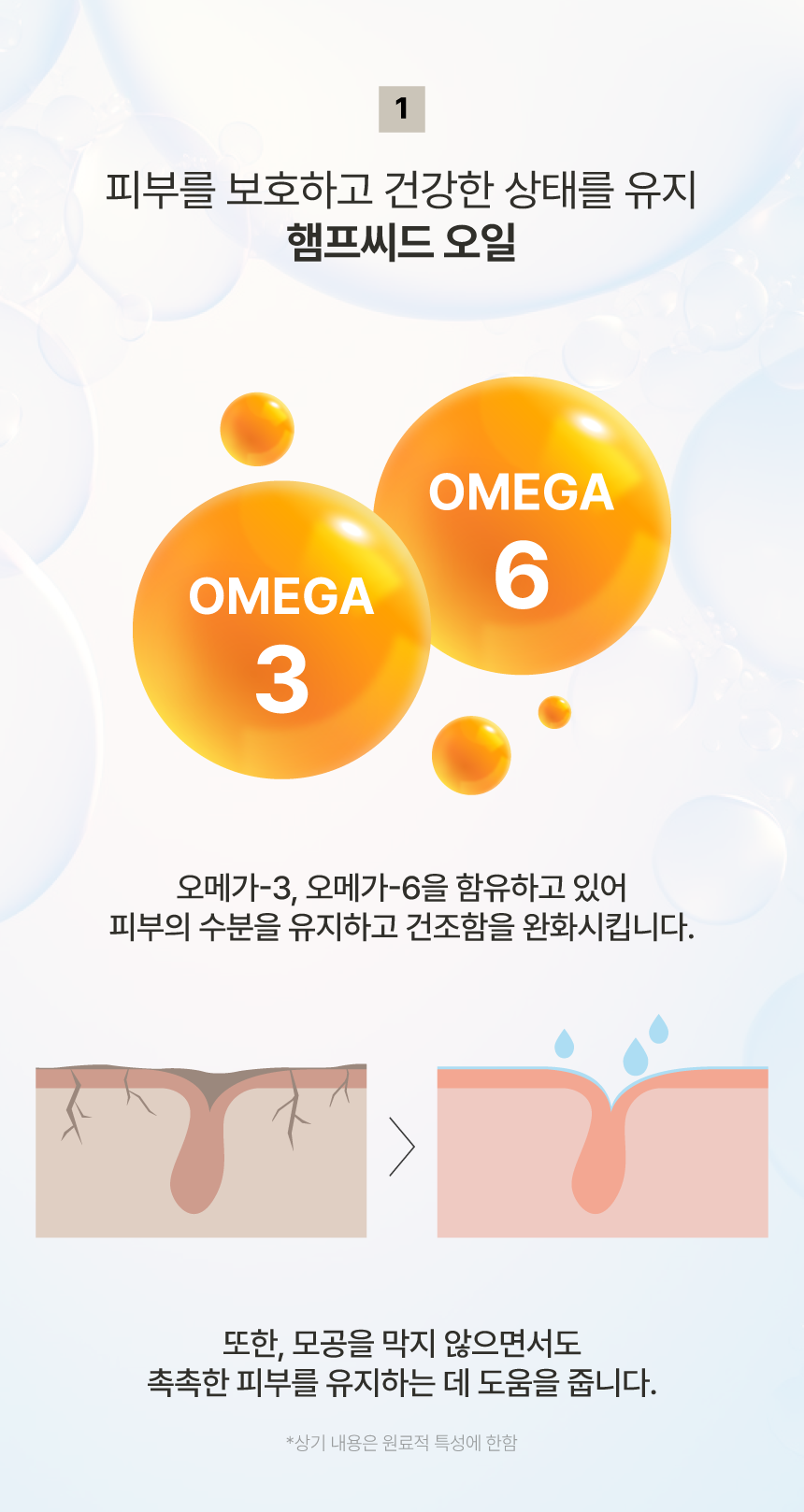 바디케어세트상페16