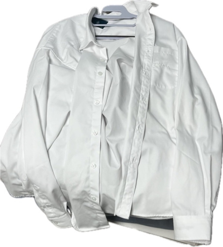 다이아몬드 레이라(DIAMOND LAYLA) The Classic white shirt S40 후기