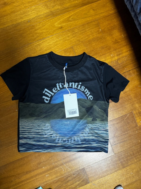 딜레탕티즘(DILETTANTISME) 달 그래픽 크롭 티셔츠 후기