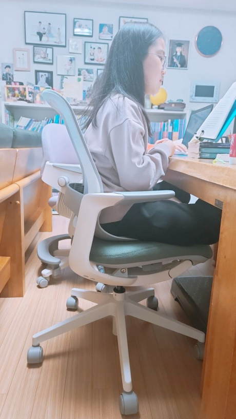 시디즈(SIDIZ) 시디즈 리니에 컴퓨터 책상 의자 메쉬 후기