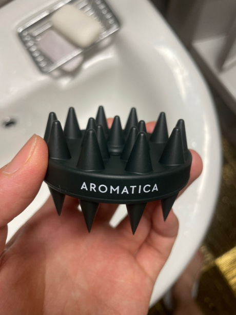 아로마티카(AROMATICA) 듀얼 스칼프 케어 샴푸 브러쉬 후기