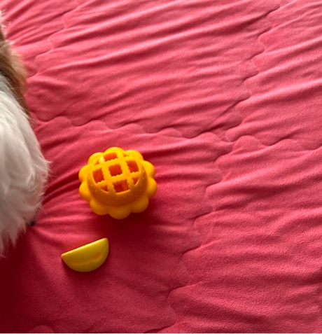 바잇미(BITEME) 킁킁 파이+레몬 노즈워크 장난감 세트 후기