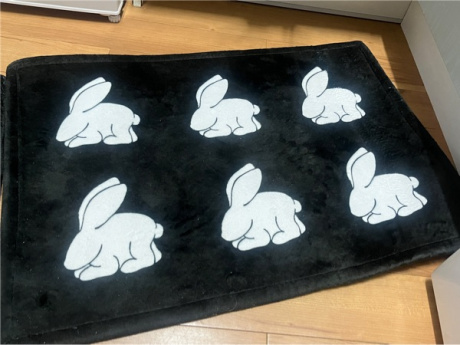 엘두들(ELDOODLE) 블랙 앤 화이트 토끼 러그 (검정 바탕+흰 토끼 / 50*70cm) 후기