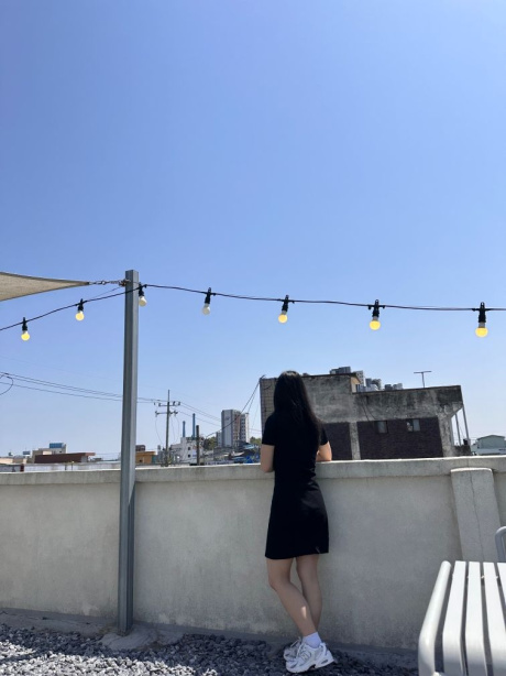 라코스테(LACOSTE) 여성 슬림핏 미니피케 폴로 드레스 [블랙] 후기