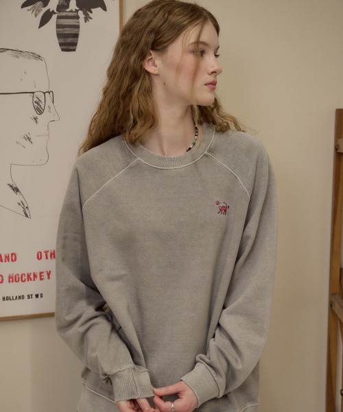 Cat Stitch Raglan Pigment Sweatshirt Ghost Gray thumbnail 10