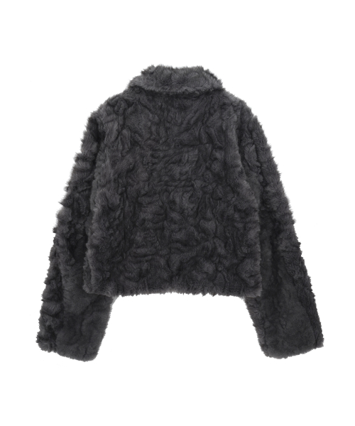 Collar Zip-Up Fur Jacket _ Charcoal thumbnail 4