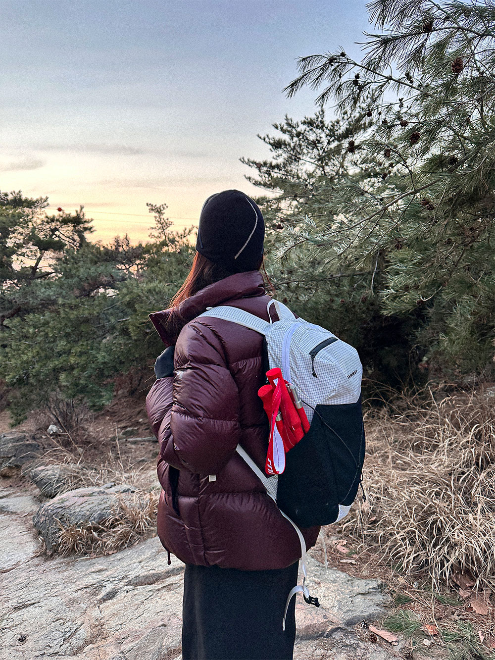 TREKKING POLES - 2 COLORS RED