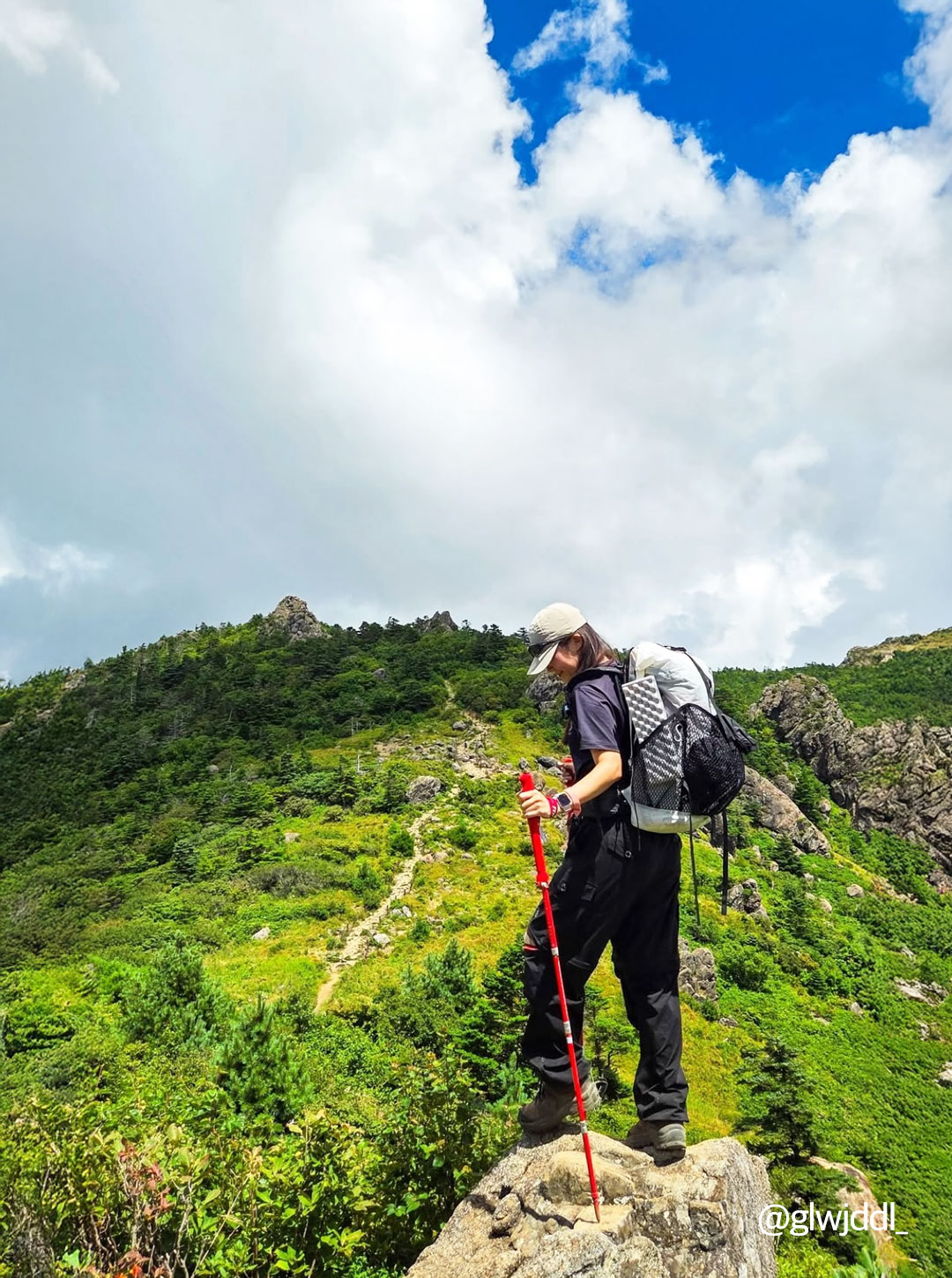 TREKKING POLES - 2 COLORS RED
