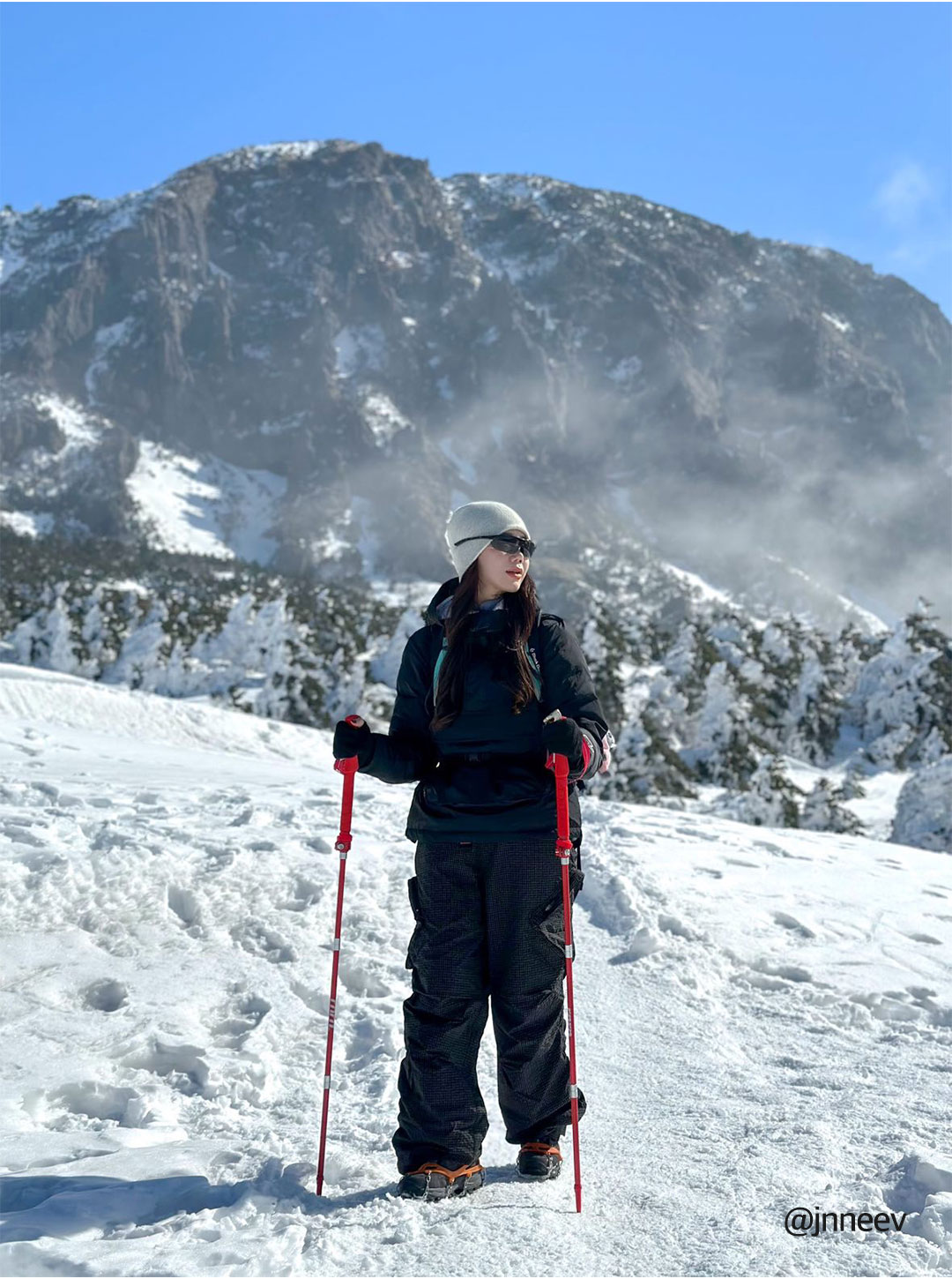 TREKKING POLES - 2 COLORS BLACK