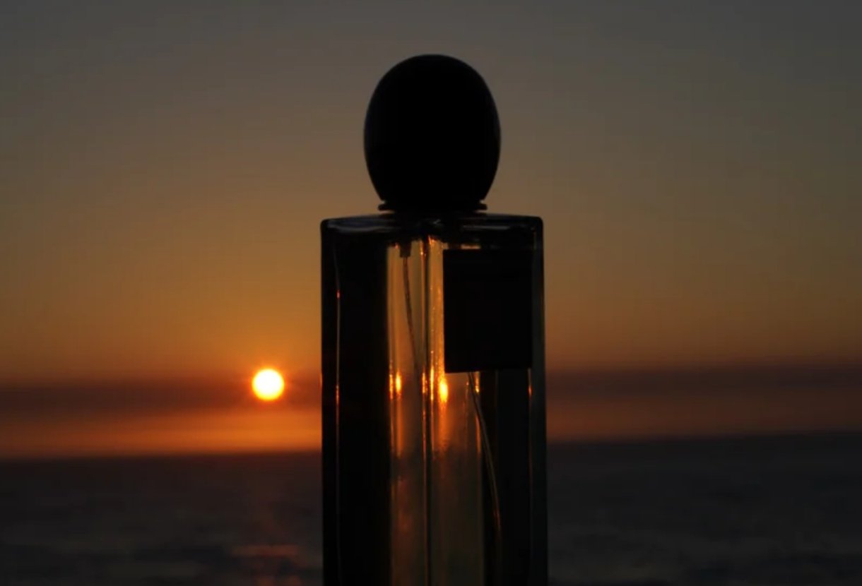 로라 제임스 하퍼 입점 기념 이벤트 image