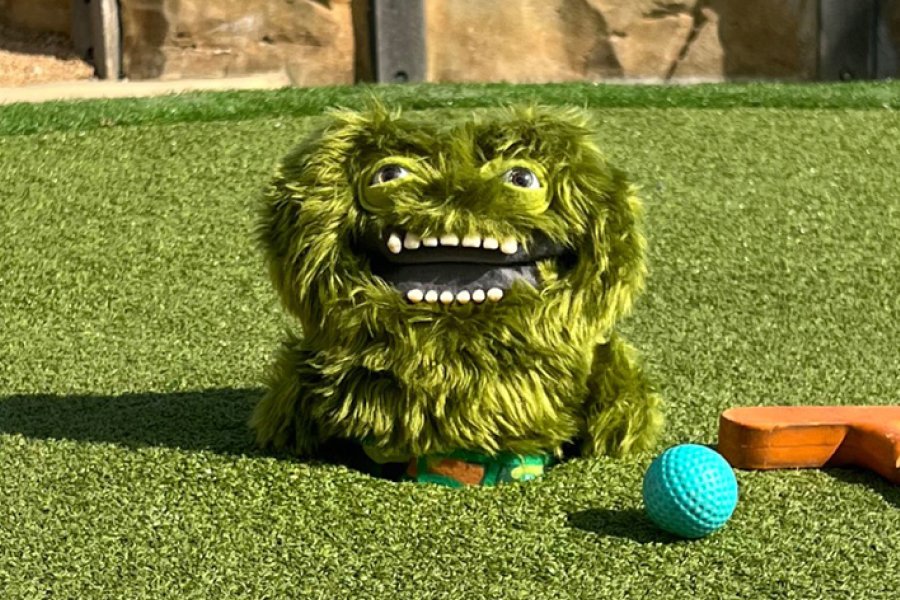 퍼글러 입점 기념 이벤트 image