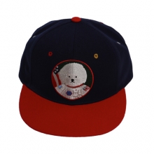 APOLLO DOG SNAPBACK