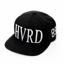 STUNT HVRD Embo Snapback (Black)