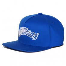 ARCH BASIC SNAPBACK BLUE