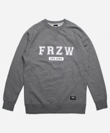 1985 SWEATSHIRT _ GRAY