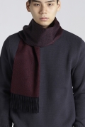 CASHMERE GRADATION SCARF WINE