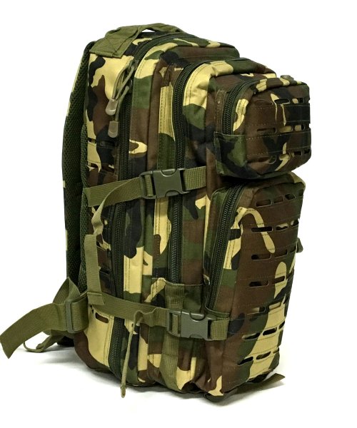 웍스페디션(workspedition) 하켄 22리터 전술 백팩 우드랜드