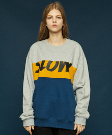 Colorblock sweatshirt (gray)