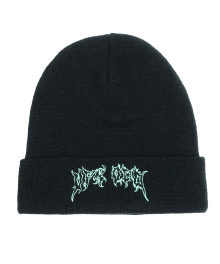 SPIDER LOGO BEANIE (BLACK/MINT)