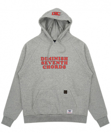 DC6F HOOD REGLAN MTM (gray)